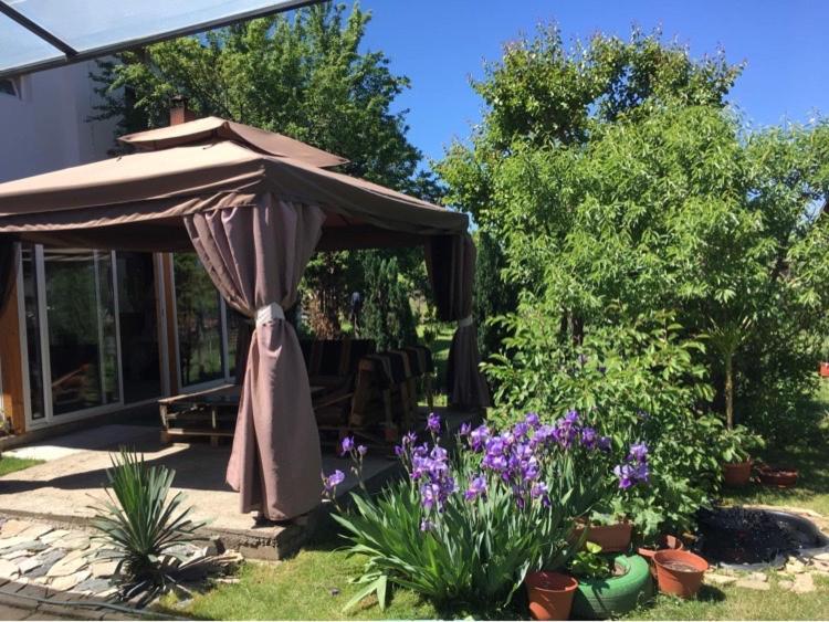 Ferienwohnung Къща Ивона Saparewa Banja Exterior foto